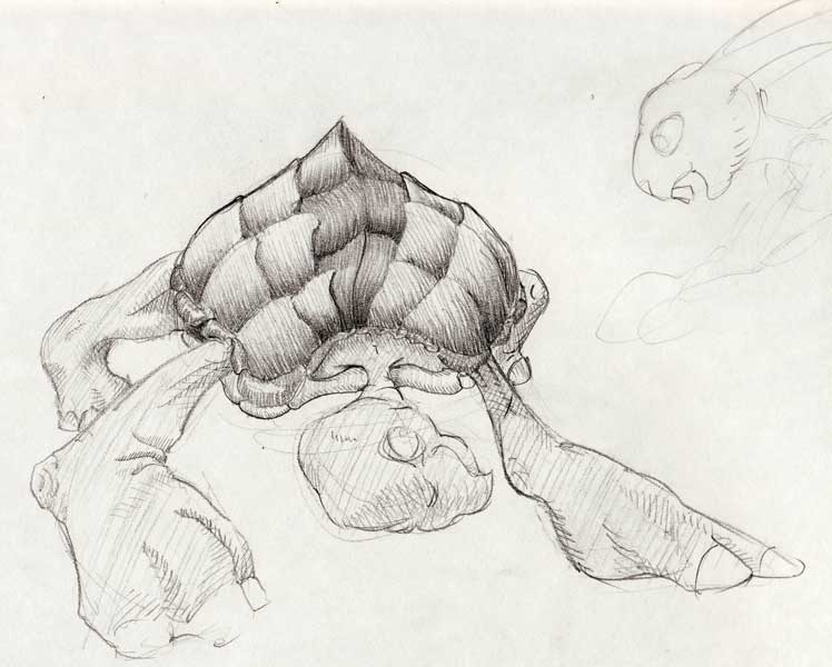 sketch:turtle with barely visable rabbit